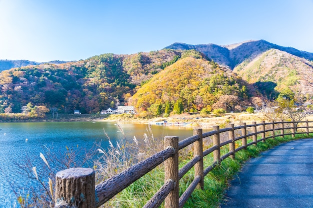 免费易经全文完整版下载，轻松掌握古典智慧 - 周易与易经研究-周易与易经研究